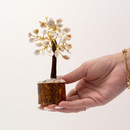 Coffret cadeau femme - Chakra